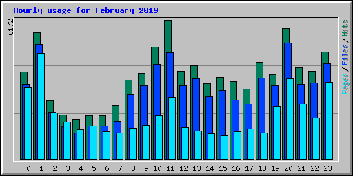 Hourly usage for February 2019