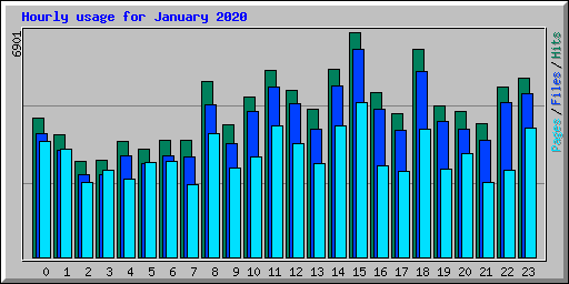 Hourly usage for January 2020